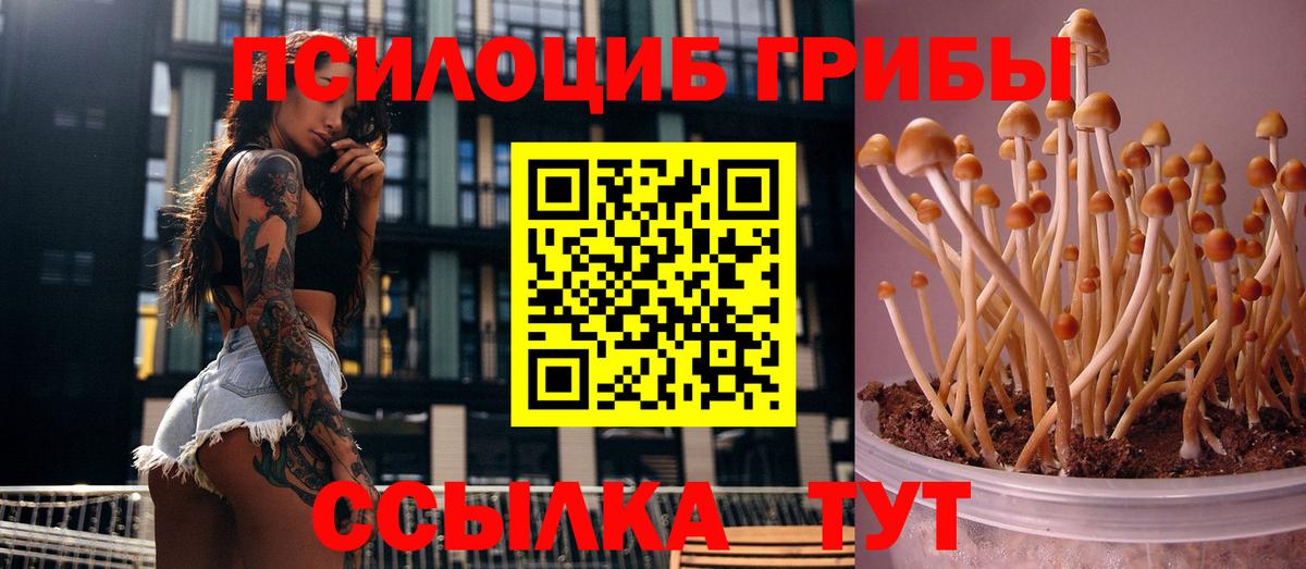 Галлюциногенные грибы мицелий Мурино