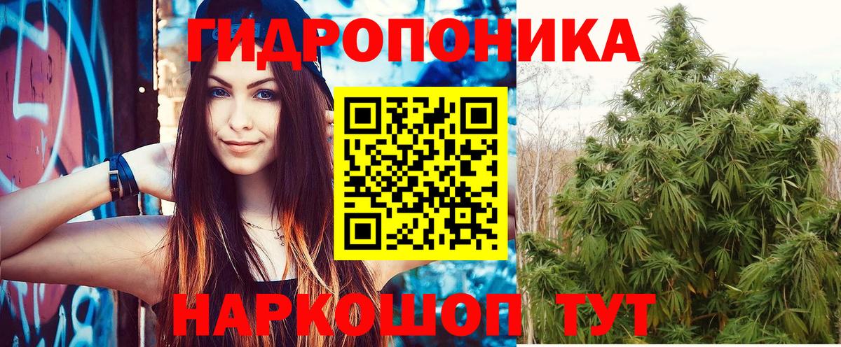 Канабис  ГАШ  Купить наркотики цена  Меф кристаллы  Экстази  Мурино  Вход с VPN  МЕФ 
